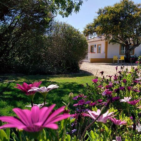 Casas Das Amoreiras Aldeia do Meco Exteriör bild