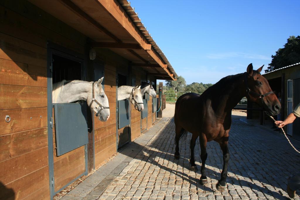 Casas Das Amoreiras Aldeia do Meco Exteriör bild