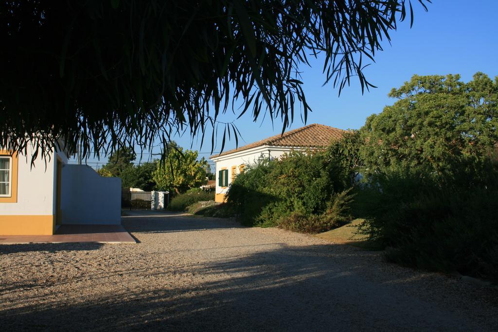 Casas Das Amoreiras Aldeia do Meco Rum bild